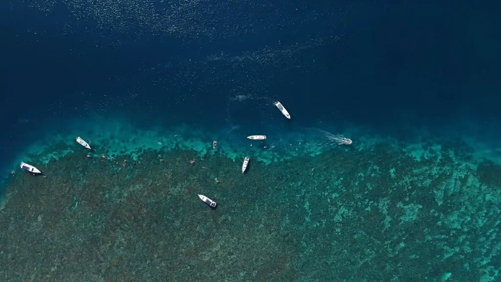 Sailing Komodo National Park | Komodo Luxury
