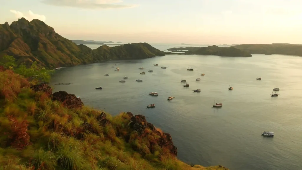 Sailing Komodo National Park | Komodo Luxury